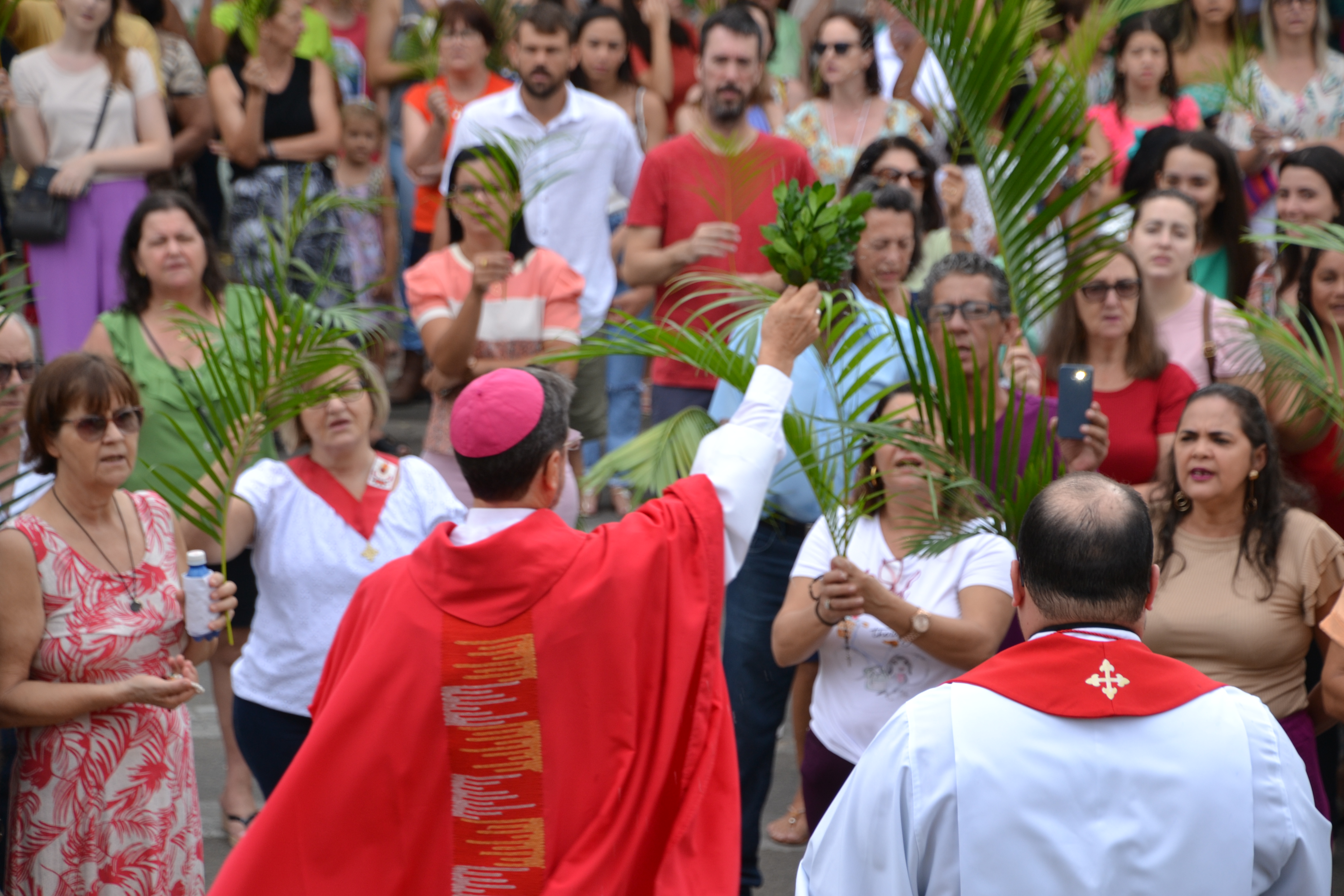 Veja a programação para o Domingo de Ramos divulgada pela Diocese de Cachoeiro de Itapemirim