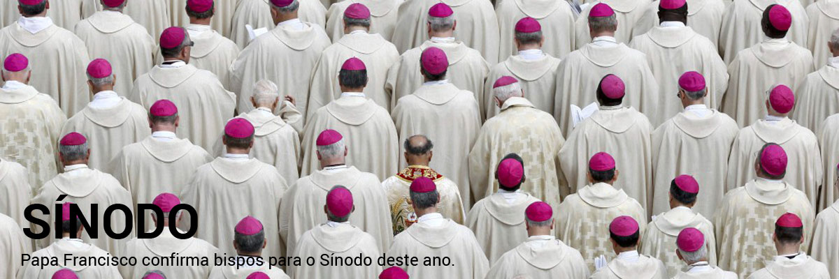 Papa Francisco confirma bispos para o Sínodo dos Bispos.